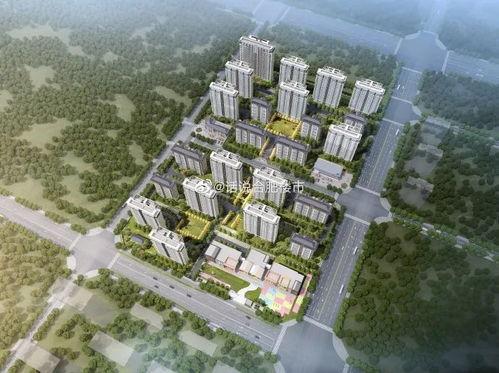 祥生爆料最新消息,揭秘娱乐圈惊人内幕