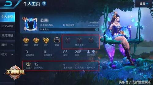 王者宋文爆料视频下载,游戏内幕大公开