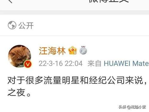 爆料娱乐圈的瓜,揭秘明星背后的惊人真相  第3张